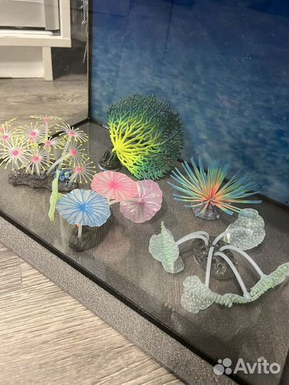 Аквариум со всем необходимым