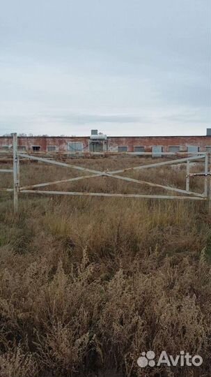 Сельхозпредриятие