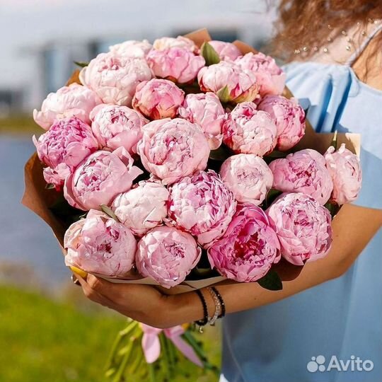 Пионы Цветы Доставка