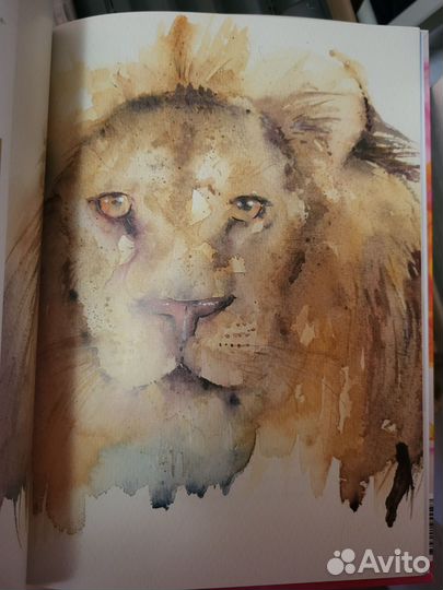 Акварелью практики Джин Хейнс