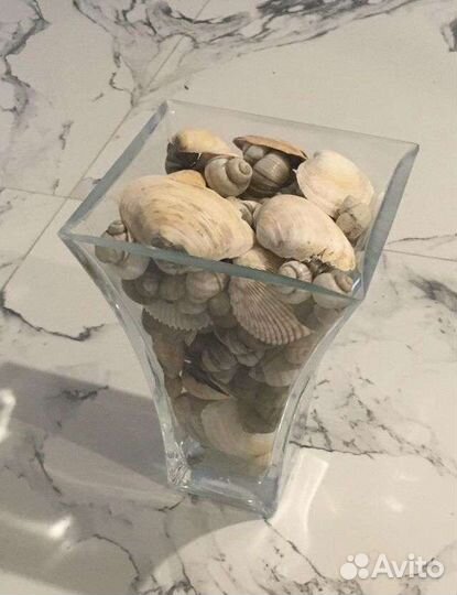 Вазон с ракушками