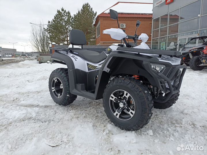 Сборочный комплект Bashan 300 Explorer