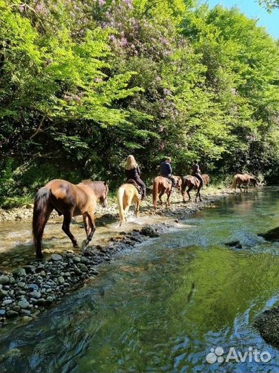 Йога-тур в Абхазию