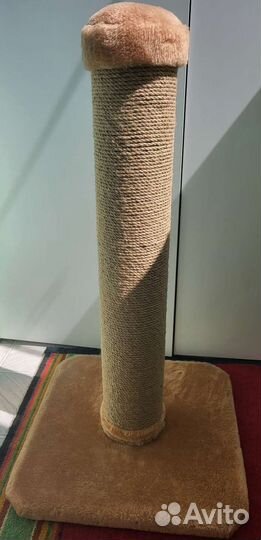 Когтеточка