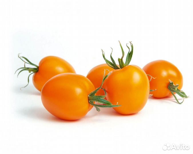 Семена Томата 