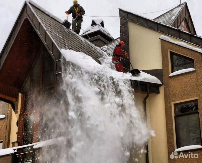 Обрезка плодовых. Спилить дерево