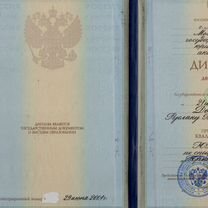 Проверка участков, оформление земли и построек, Мытищи