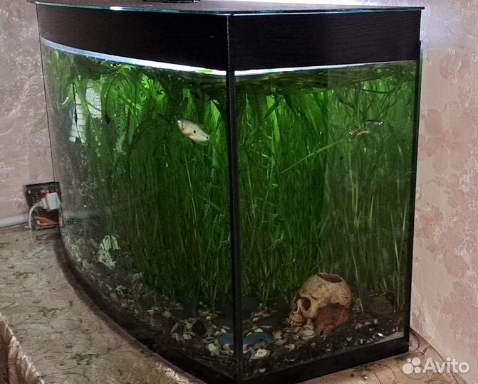 Аквариумный набор