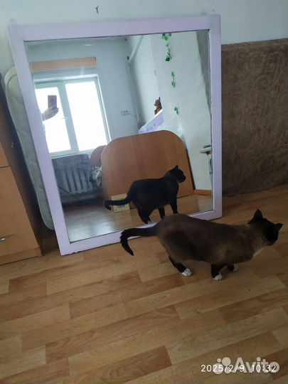 Зеркало настенное в деревянной раме бу