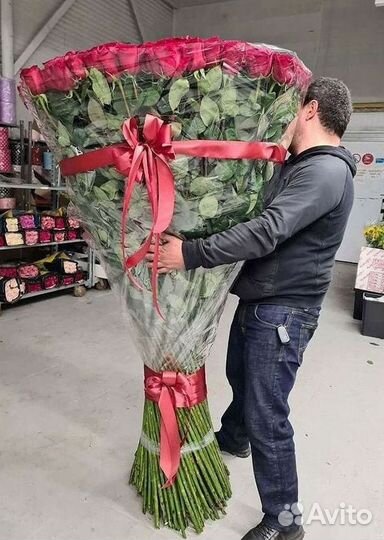 Розы гиганты 140 150 160 170 180 200