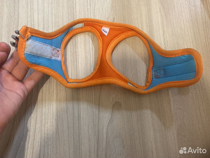 Шлейка для маленькой собаки