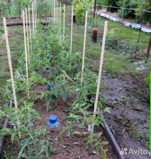 Колья для растений