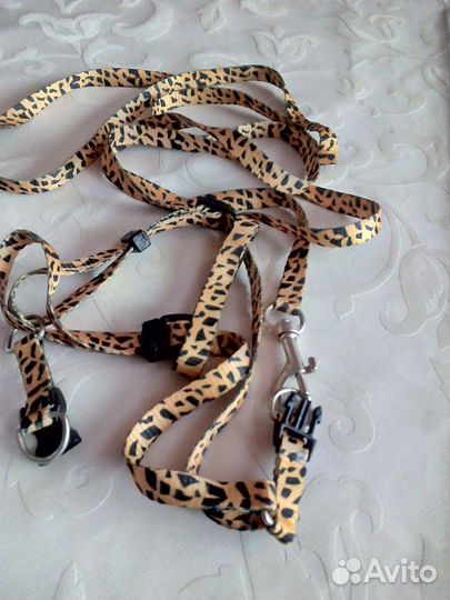 Поводок для животных