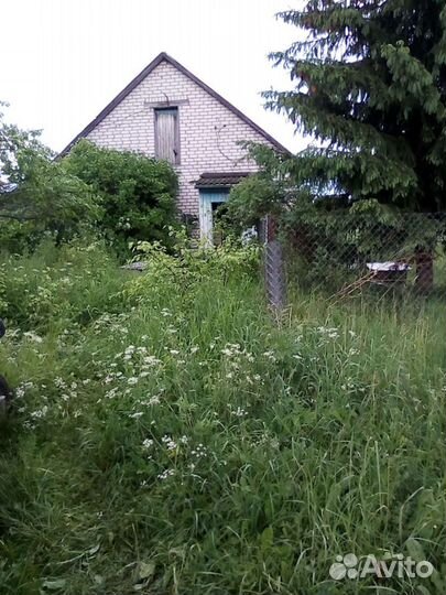 Другие животные