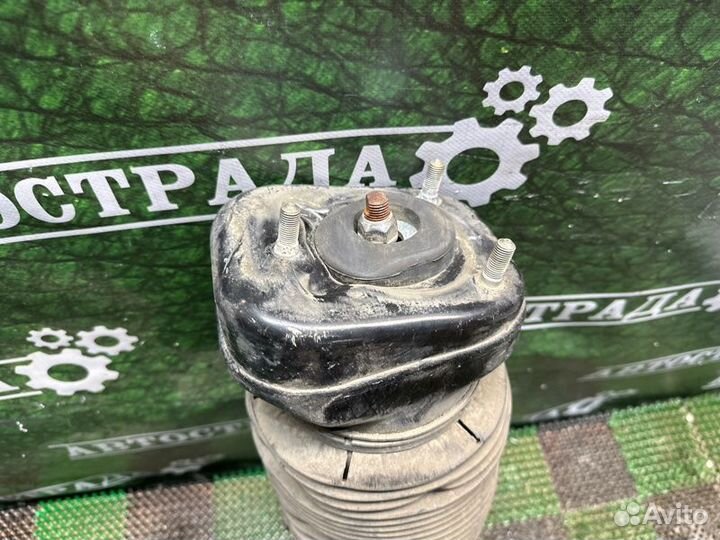 Амортизатор задний правый Lexus Rx 2003-2008