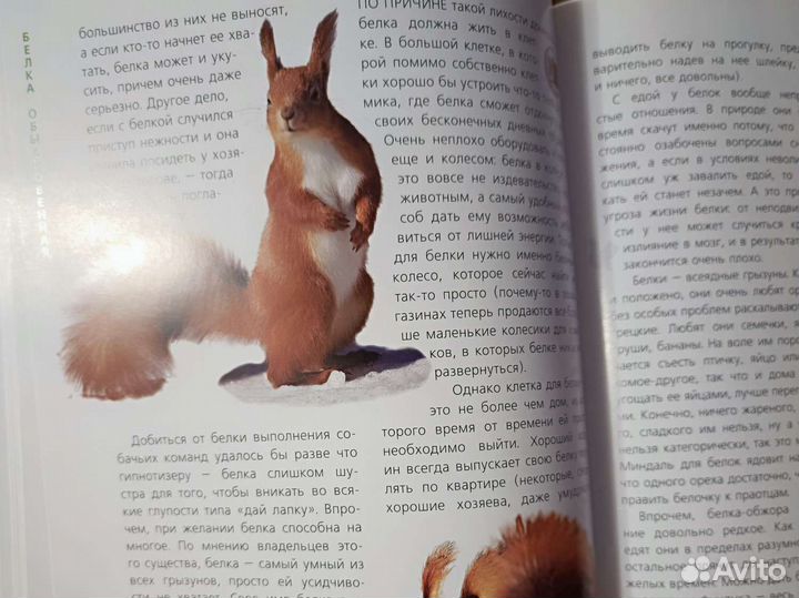 Книга Ольги Волковой