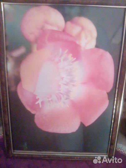 Рамки для фотографий