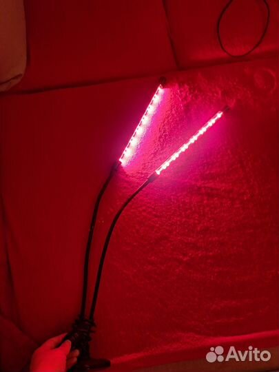Фитолампа для растений на прищепке