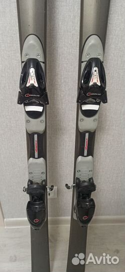 Горные лыжи