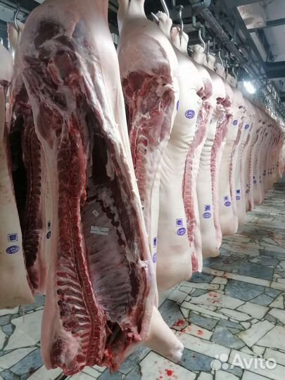 Мясо Свинина Постная