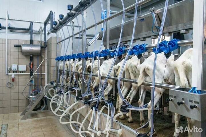 Молочный зал, Молочное оборудование