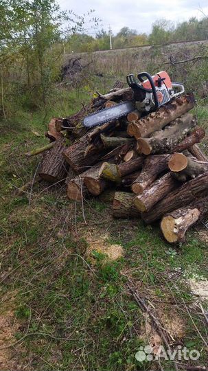 Спил деревьев