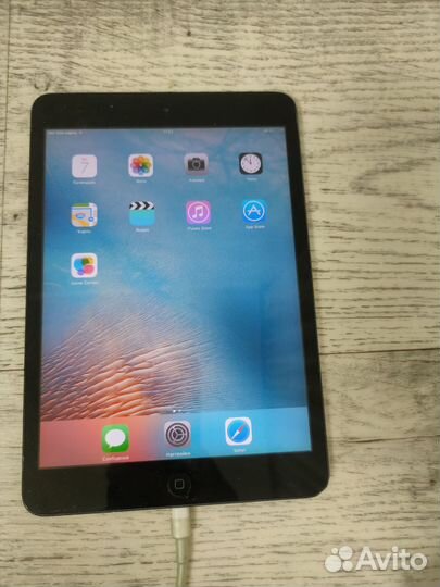 Apple iPad mini Black & slate