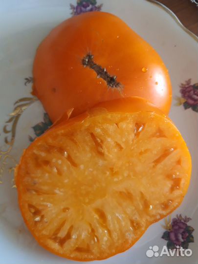 Семена коллекционных томатов