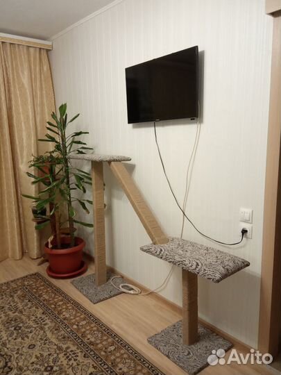 Когтеточка большая