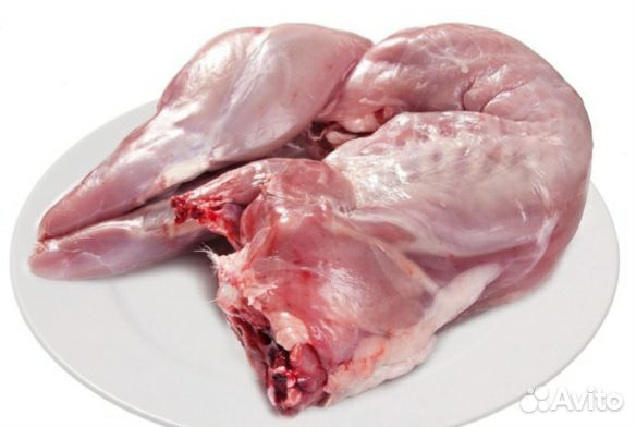 Продам мясо кролика