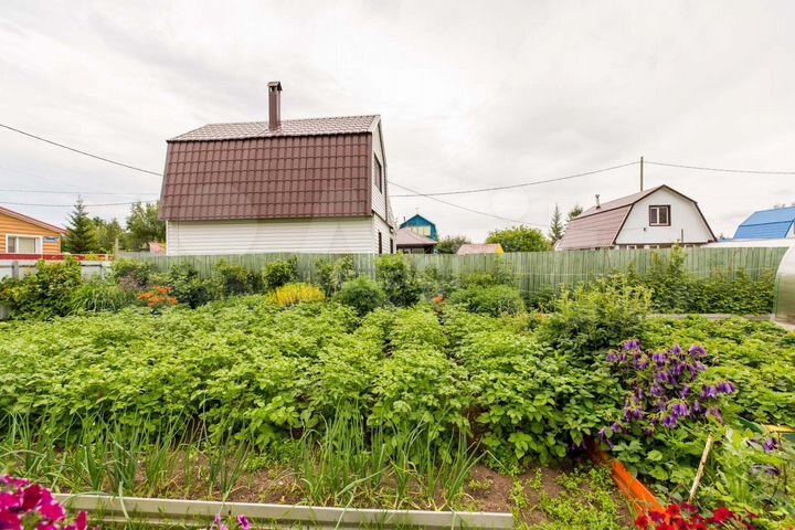 Дом 52 м² на участке 5,46 га