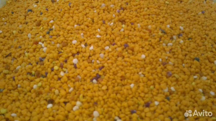 Пыльца, перга, мёд, прополис