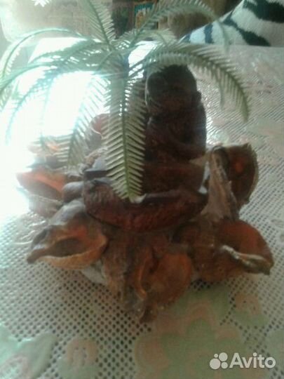 Ракушки из разных морей от 5 р