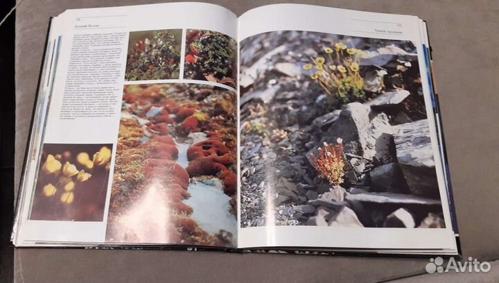 Дальний Восток фотоальбом