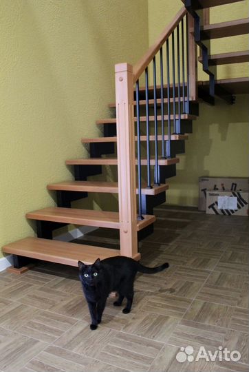 Лестницы на металлокаркасе