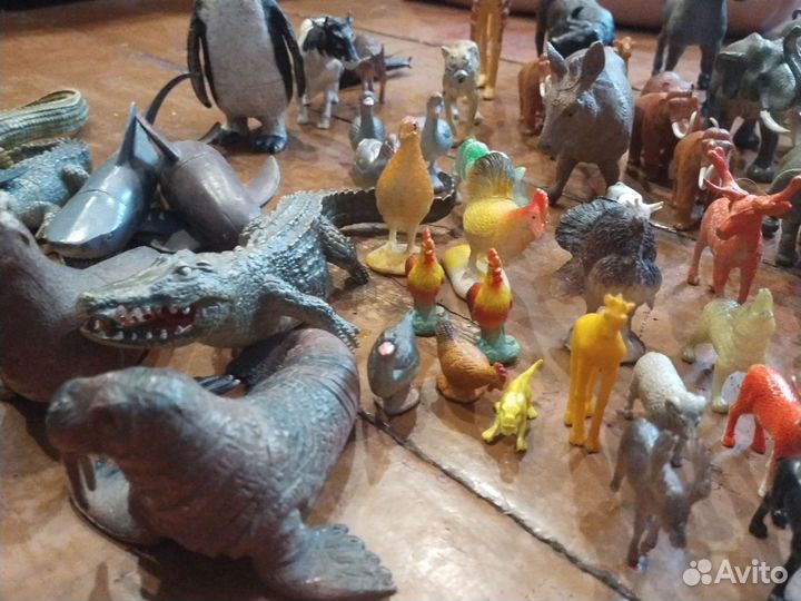 Животные домашние дикие