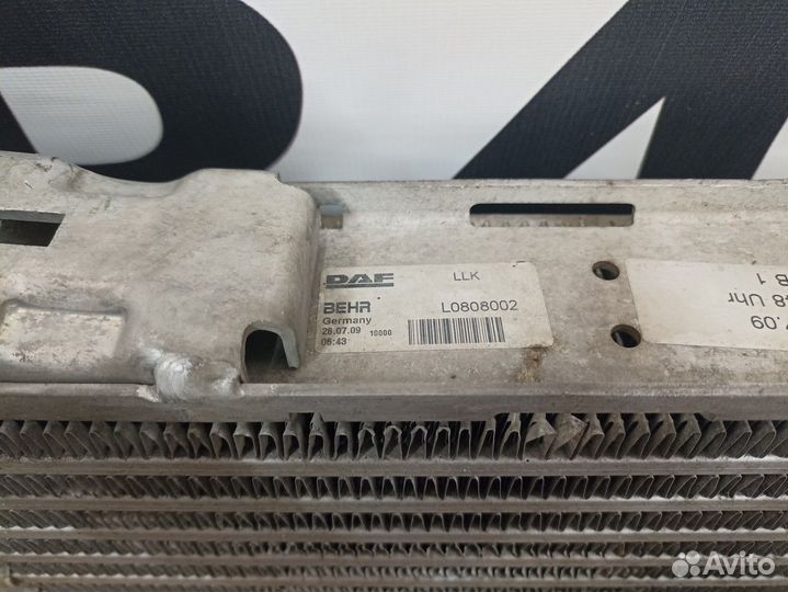 Интеркулер Daf XF105