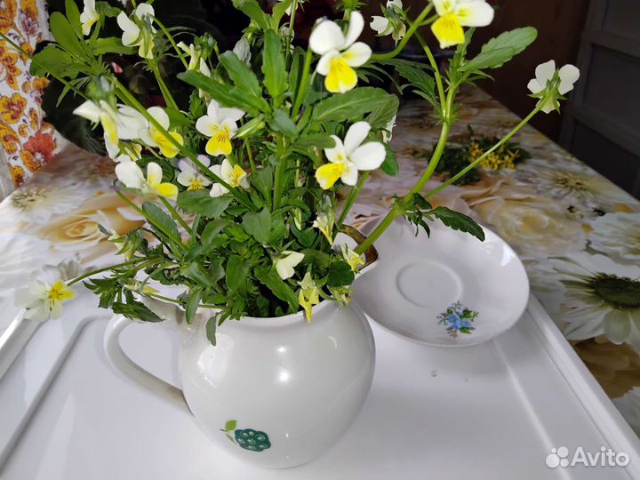 Молочник - сливочник