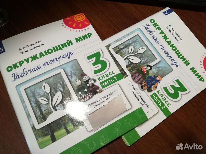 Готовые работы по окружающему миру