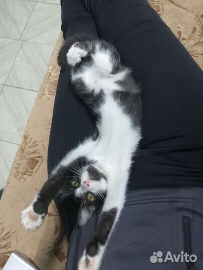 Очаровательная малышка