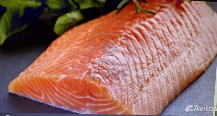 Семга свежемороженая, Мурманск