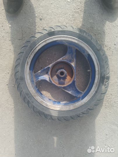 Гидролиния передняя