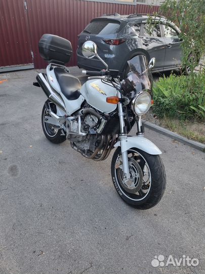 Honda hornet 600