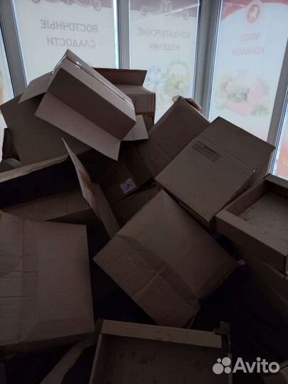 Макулатура