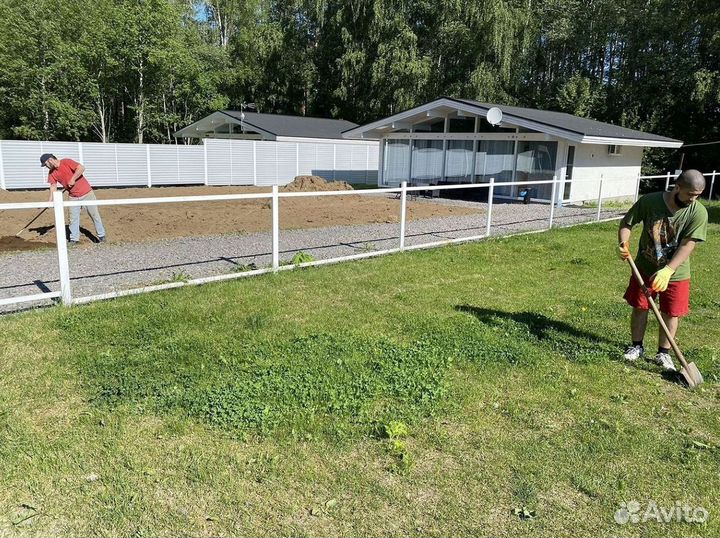 Газон премиум