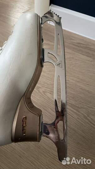 Фигурные коньки edea chorus 255