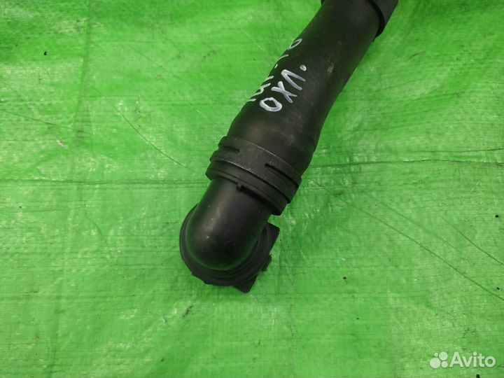 Патрубок радиатора Volkswagen Tiguan