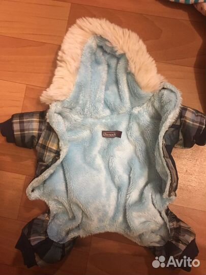 Одежда для маленьких собачек