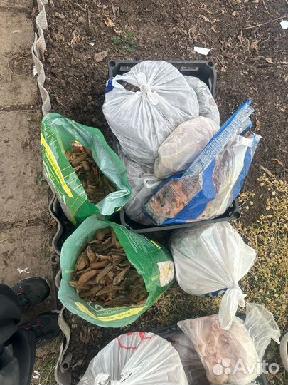 Отходы скотине, приезжайте забирайте