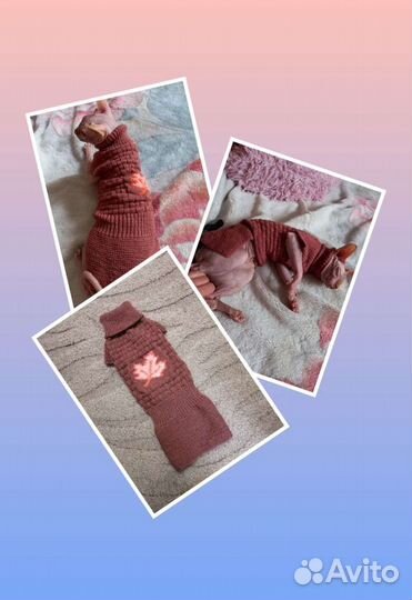 Вязаная одежда для животных